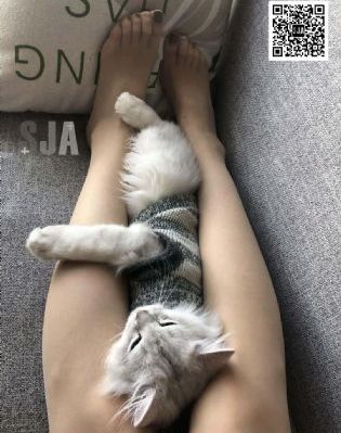 初尝云雨破瓜小说